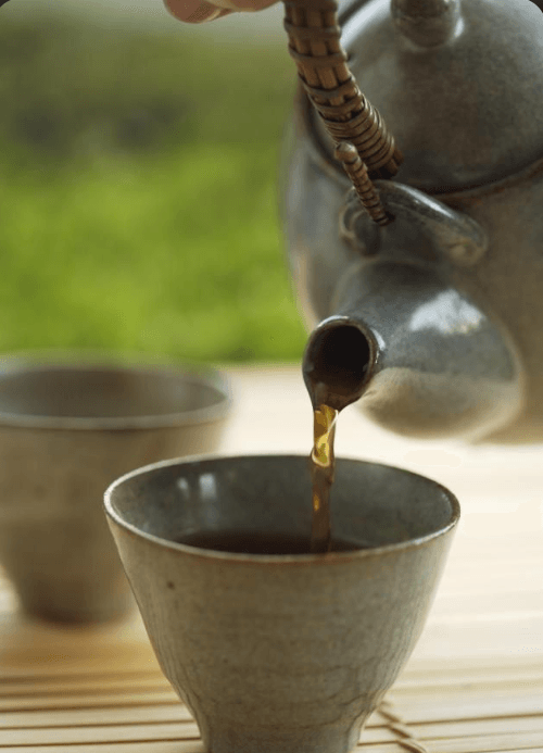 Why Does Ancient-Tree Pu-erh Have High Drinking Value?
