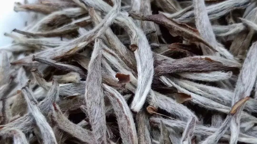 Do More Tea Hairs Mean Better Tea? Is Matcha Just Green Tea Powder? 5 Tea Quality Myths
