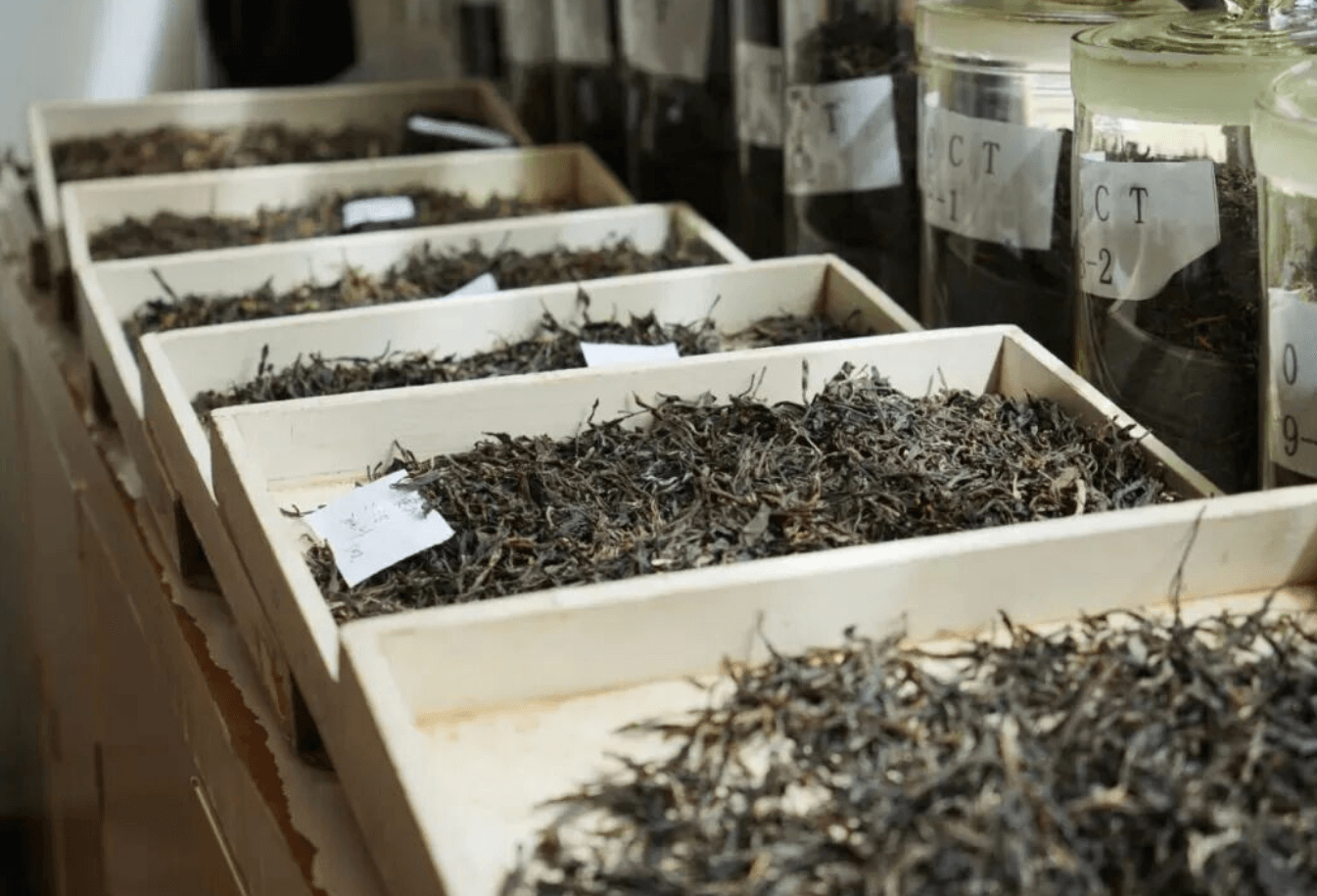 Yunnan Ancient-Tree Tea's Dust-Removal Journey: How Electrostatic Cleaning Works in Tea Factories
