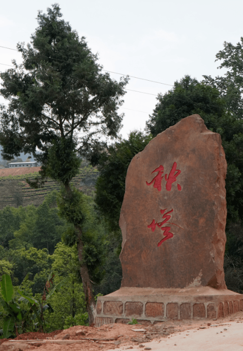 Royal Tribute Tea from Yangta Old Village: Yunnan Tea's White Moon