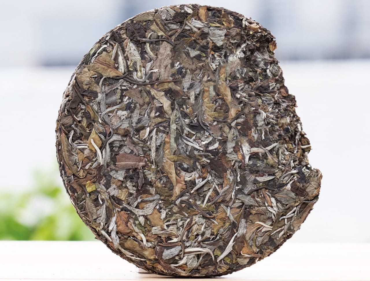 Dianwu Gongya Yangta Old Village Royal White Tea — Stone-pressed cake